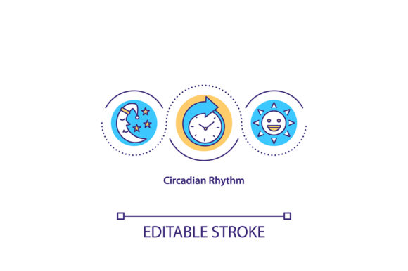 Download Circadian Rhythm Concept Icon - Concept Collection